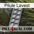 Lavest Pill 08